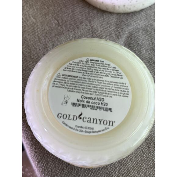 Gold Canyon Candles Med 16oz  Coconut H2O Highly Scented Candle  Hard to Find - Picture 2 of 2